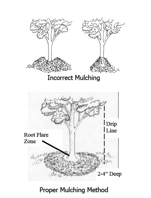 Mulching