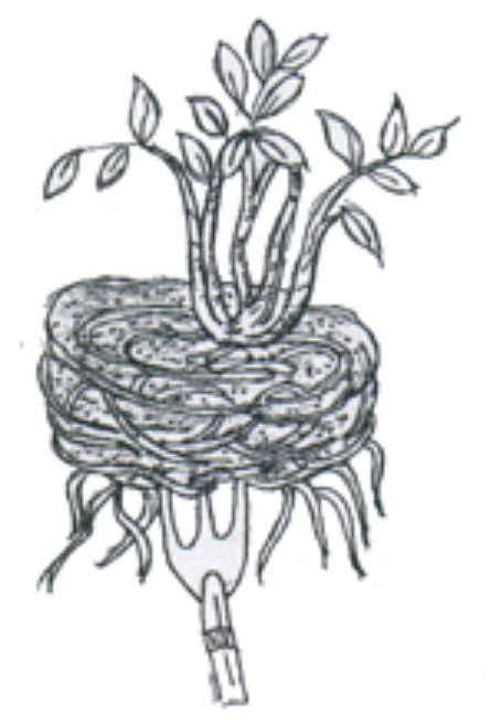 Tree Planting Container 2