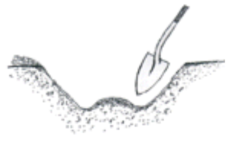 Tree Planting Hole 1